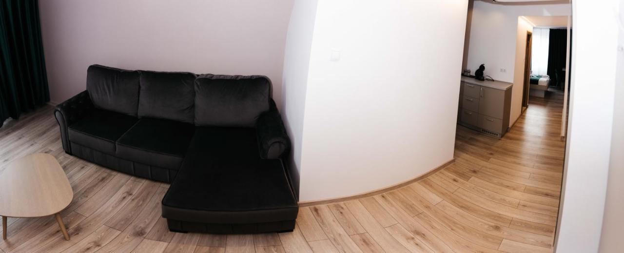 Vila Ursul Negru ソバタ エクステリア 写真