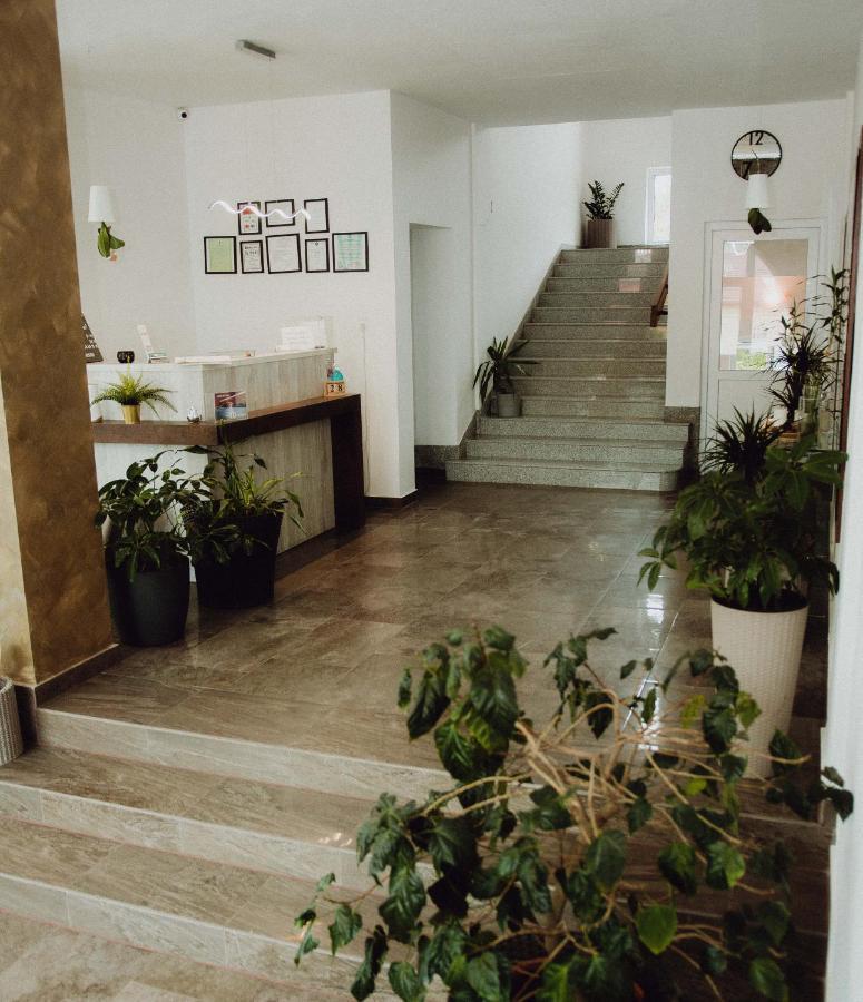 Vila Ursul Negru ソバタ エクステリア 写真