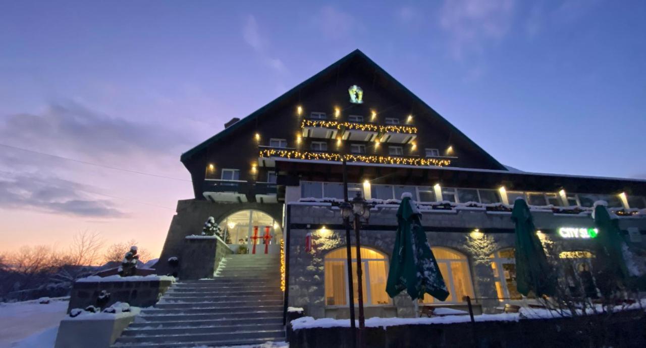 Vila Ursul Negru ソバタ エクステリア 写真