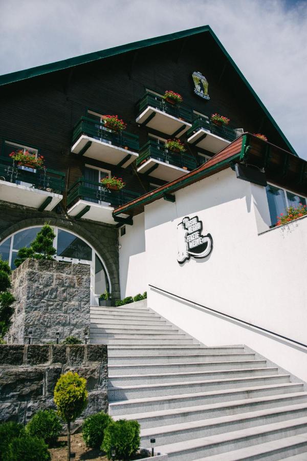 Vila Ursul Negru ソバタ エクステリア 写真