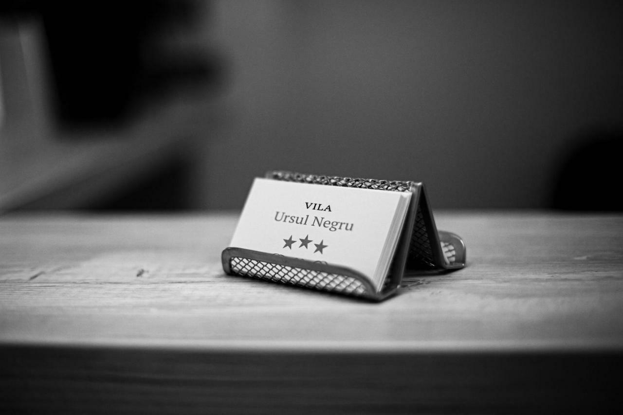 Vila Ursul Negru ソバタ エクステリア 写真