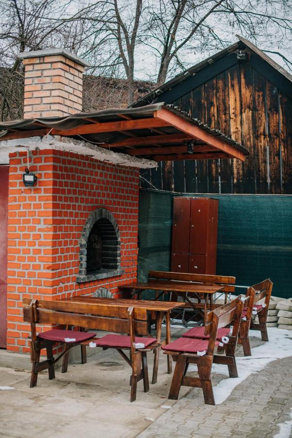 Vila Ursul Negru ソバタ エクステリア 写真